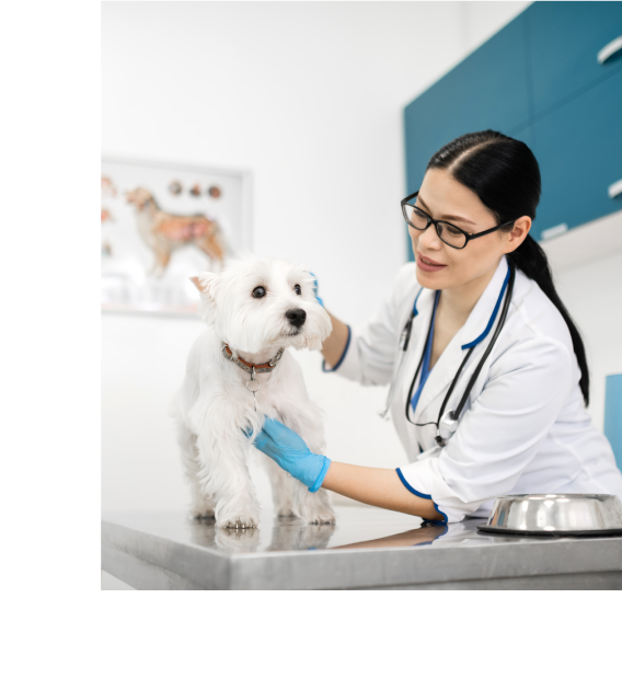 veterinary-services